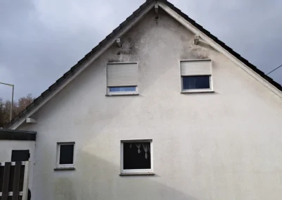 Bild Gutachten über veralgte und verschmutze Fassade, teils Schimmelbildung (Würgendorf-Burbach)