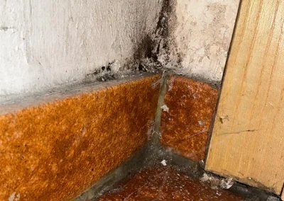 Bild Gutachten zu einem Wasserschaden (Vaihingen) 3